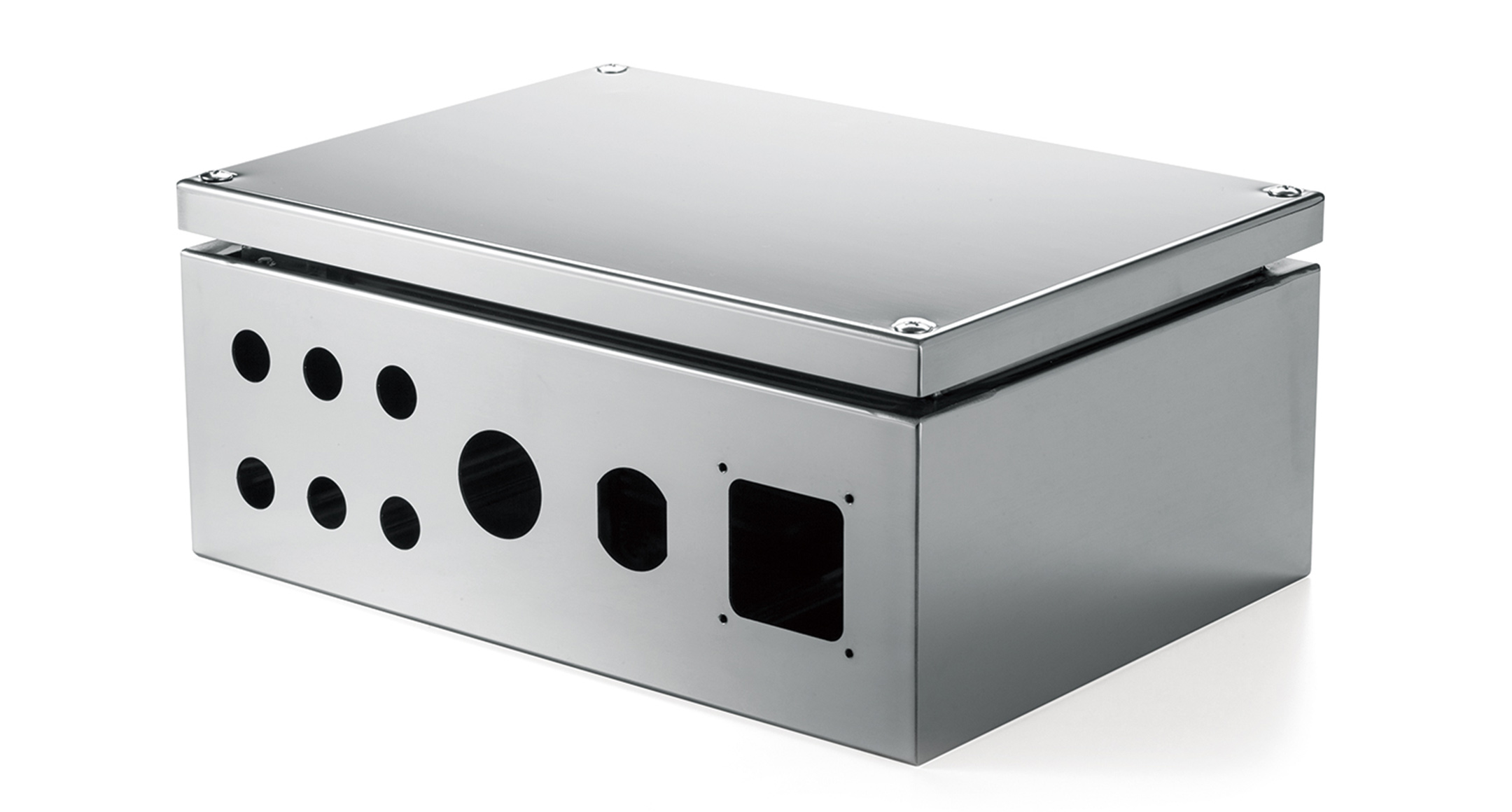 IP65 STAINLESS STEEL BOX - SSB series