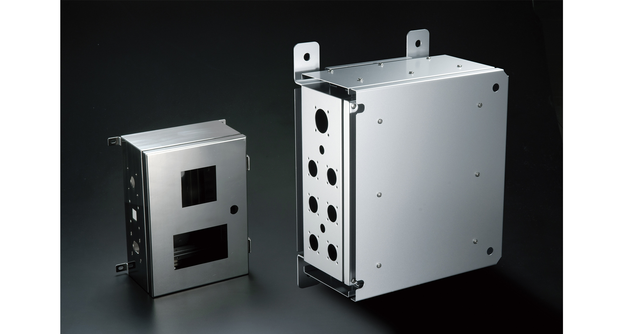 IP65 HINGED STAINLESS STEEL BOX - SSM series