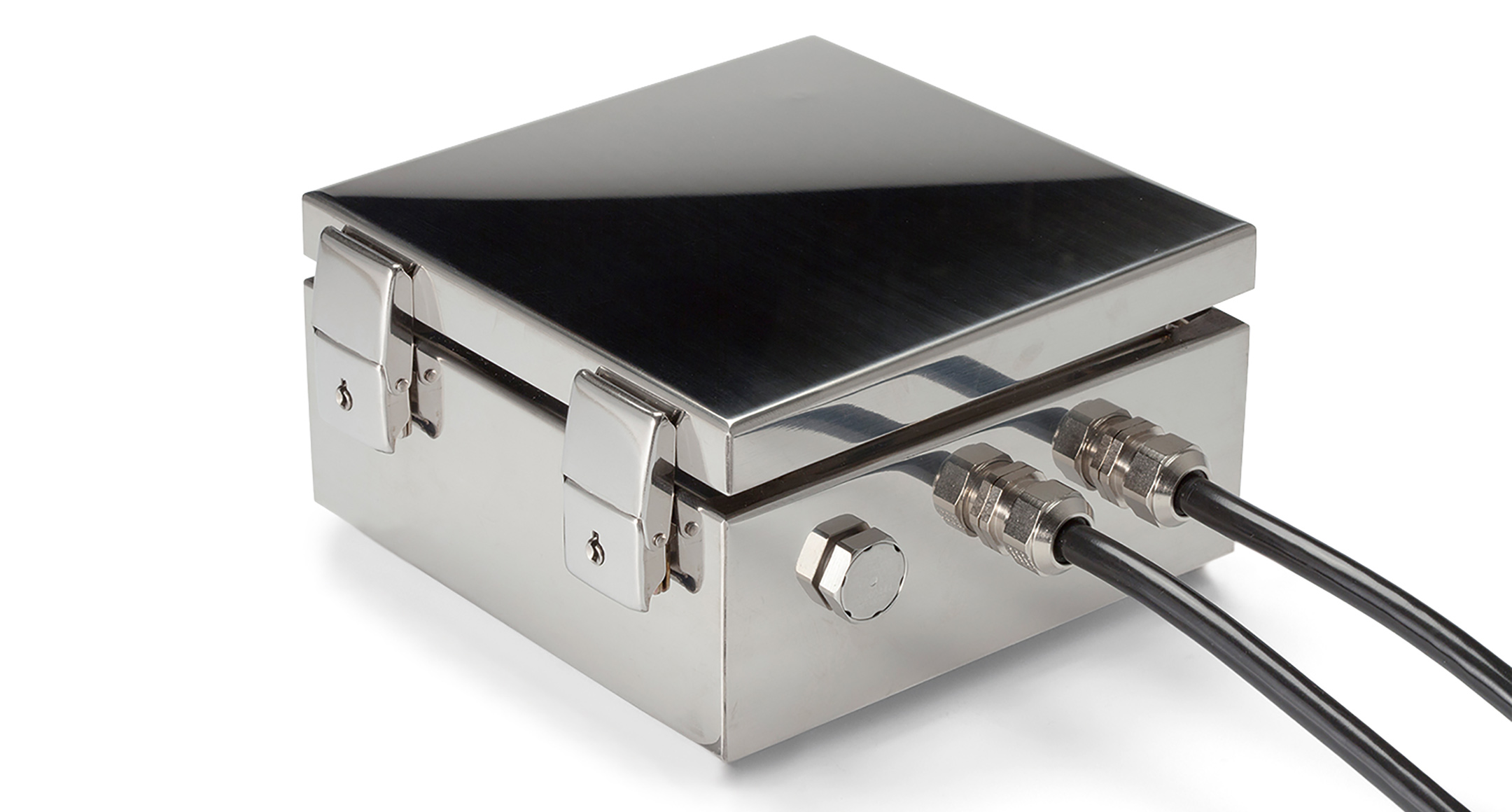 IP65 HINGED STAINLESS STEEL BOX - SSM series