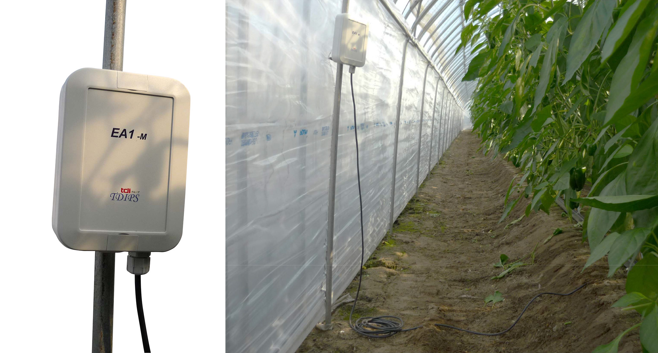 IP67 NETWORK PLASTIC BOX - WP series